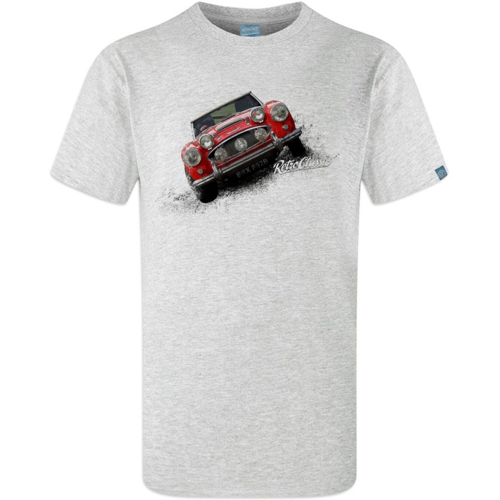 190.125-austin-healey-3000-g_2